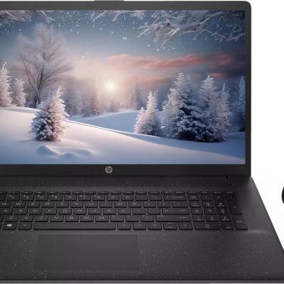 HP 17.3" Business Laptop Computer