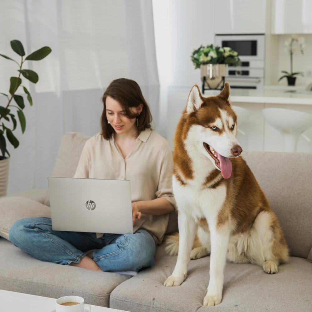 HP 15.6" Business Laptop Computer with Microsoft 365 • 2025/2026 Edition • Copilot AI • Intel 4-Core N100 CPU • 1.1TB Storage (1TB OneDrive + 128GB UFS) • 8GB RAM • Windows 11 • w/o Mouse - Image 6